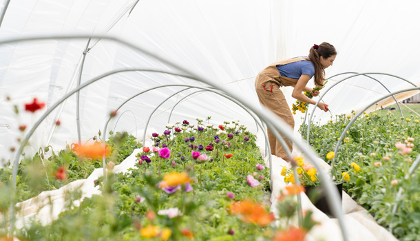 研究：大人做園藝可紓壓、降焦慮，初學者建議從「這些植物」開始