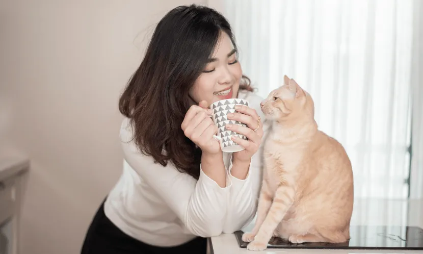 懂得善待自己！向貓學幸福法則，讓你活得自在又自信