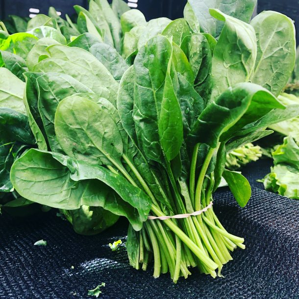 坐骨神經痛吃什麼-深綠色蔬菜