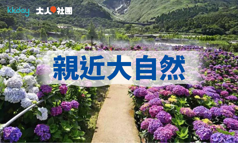 親近大自然　賞花賞鯨賞風景