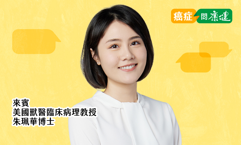 健保廢止「停復保」，比較台灣美國的醫療保險與照護差異