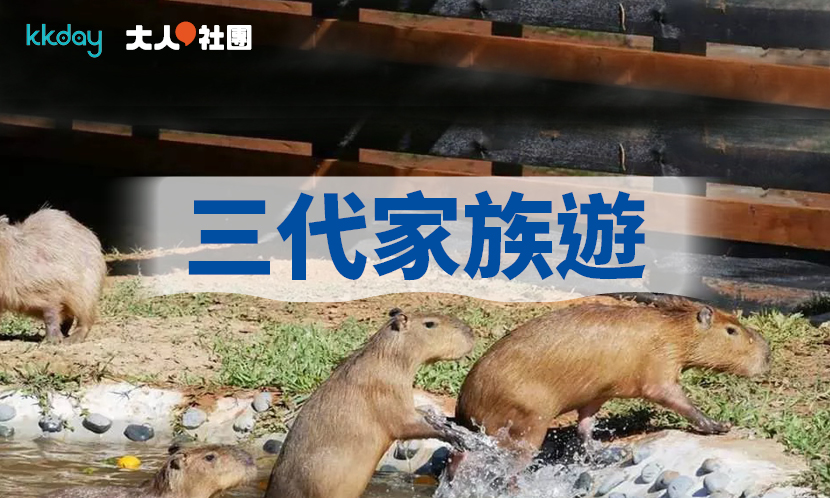 三代家族遊　手作體驗一起玩