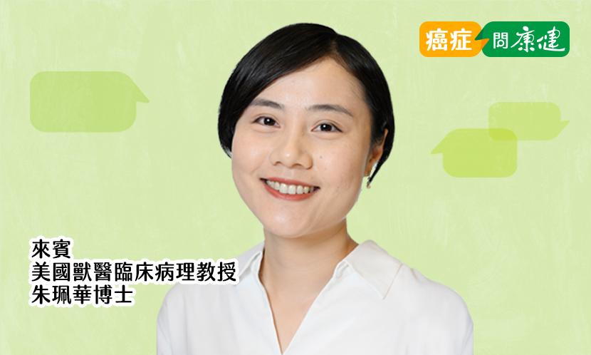 我不想當「抗癌鬥士」，但需要做個聰明病人和社會支持