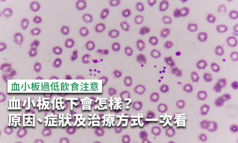 血小板低下-血小板低下英文-血小板低下原因-血小板低下症狀-化療血小板低下-血小板低下出血-血小板低下治療-血小板低下脾臟-白血病血小板低下-中藥血小板低下-血小板低下飲食-血小板低下住院