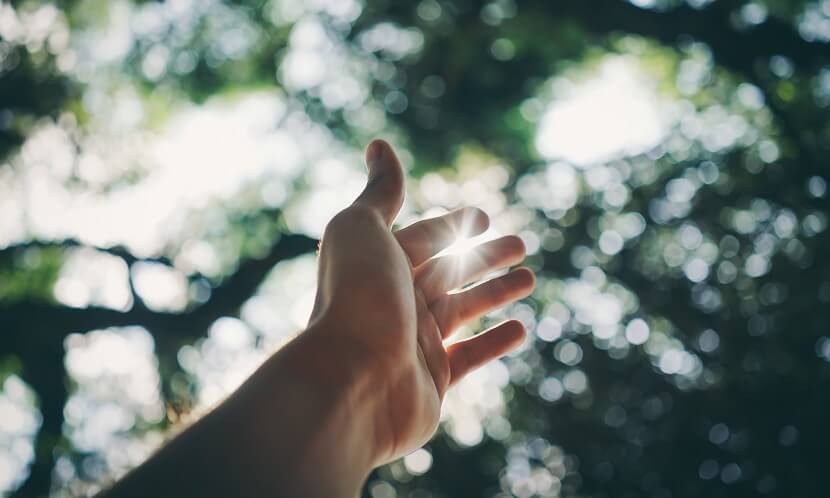 通臂拳：強筋、暖筋、活絡筋骨養生功法