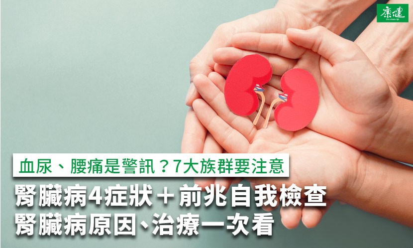 腎臟病症狀-腎臟病原因-腎臟病自我檢查-腎臟病前兆-腎臟檢查-腎臟不好症狀-腎臟位置-腎功能-慢性腎臟病-腎衰竭