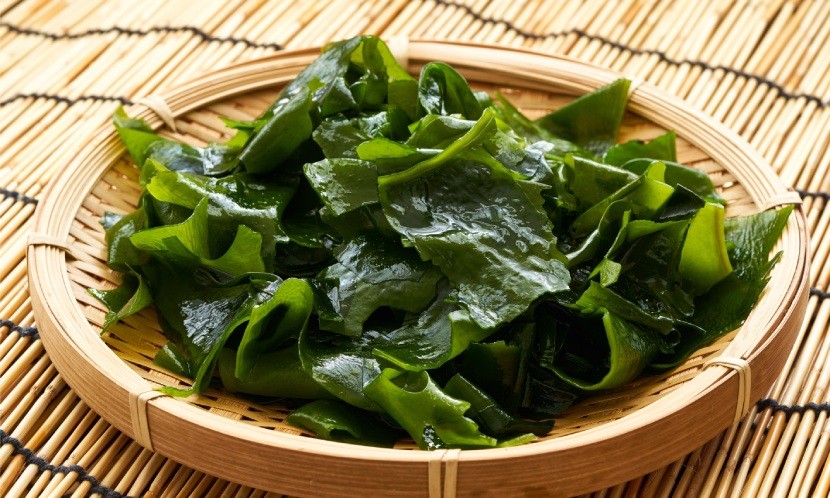 【毛奇專欄】不輸日本的台灣產昆布 熬湯、涼拌皆宜