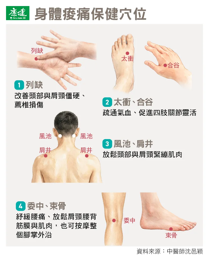 身體痠痛除了平時自我保健,中醫師沈邑穎也提供4個穴位保健改善。圖片來源 / 康健編輯部