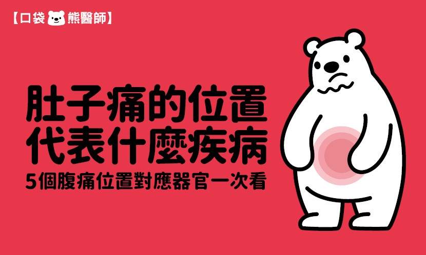 肚子痛-肚子痛位置-肚子痛位置器官-肚子痛位置疾病-左上腹痛-左下腹痛-右上腹痛-右下腹痛
