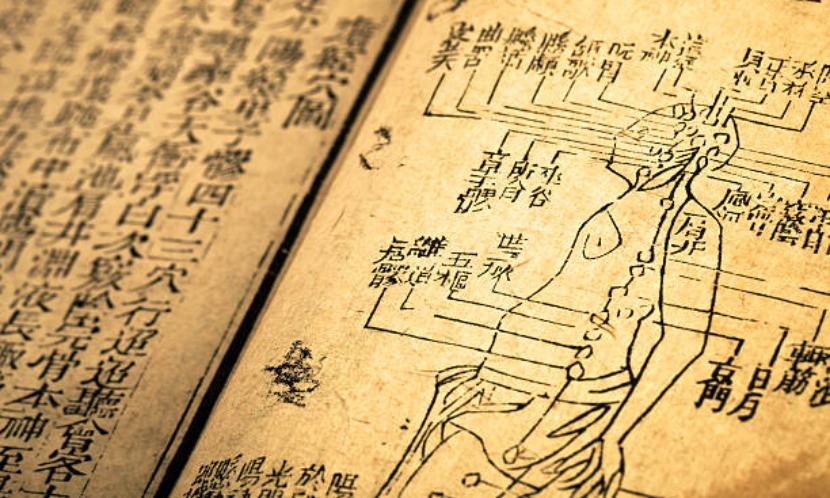 拓展中醫的知識空間