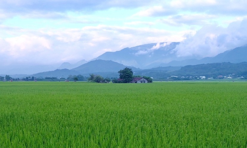 Yes,I do.　阿度在龍田村的旅行國度