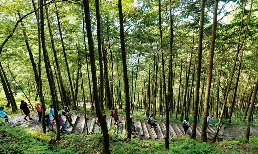 高年級旅人 為自己,啟程---在旅途中交朋友、養健康