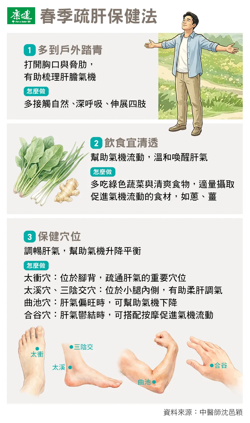 中醫師沈邑穎的春季疏肝保健法:飲食+穴位一次看