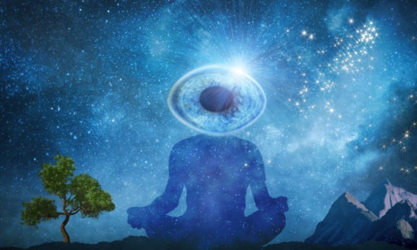 楊定一：從每一個角落，都可以把神聖的生命找回來