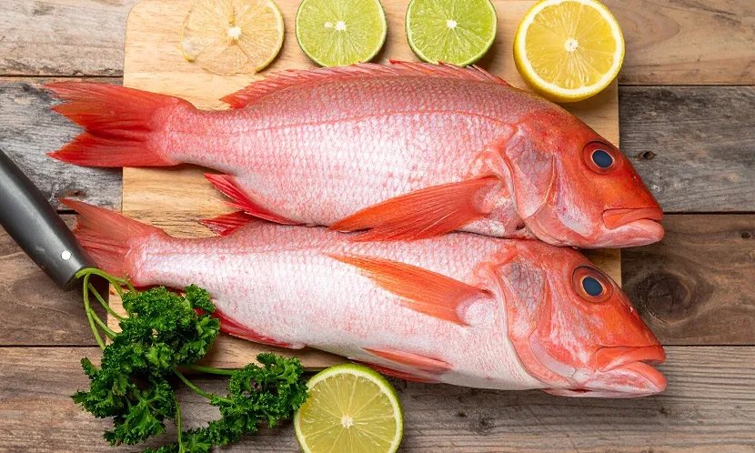 紅鯛魚富含鉀、硒與維生素E等關鍵營養素,不過可能有汞與海洋毒素的風險,建議選擇來源安全的新鮮魚貨。圖片來源 / Shutterstock