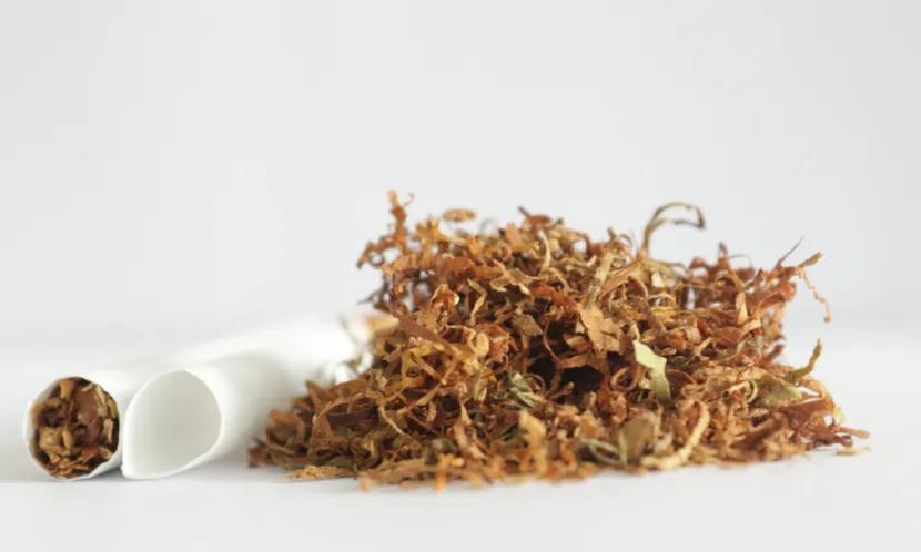 菸草會吸附土壤中的重金屬，尤其是鎘，當被捲成香菸後，這些鎘就會殘留在菸葉中。圖片來源 / Shutterstock