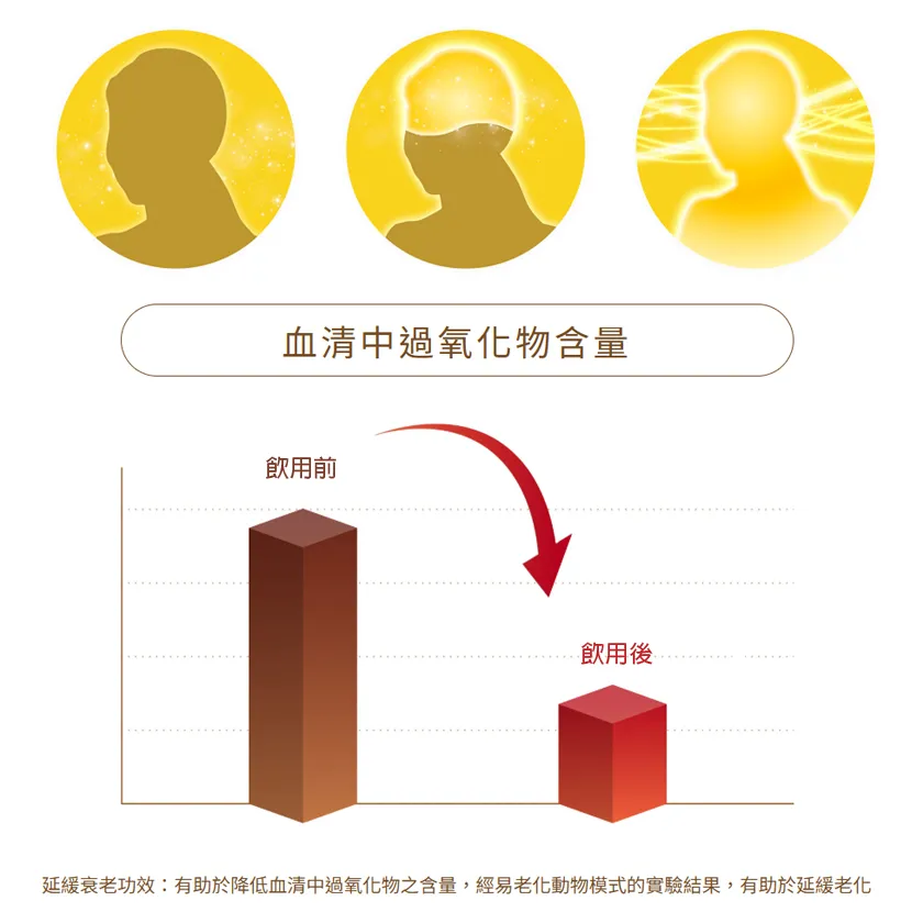 記憶力變差吃什麼 抗老化食物 補腦食物