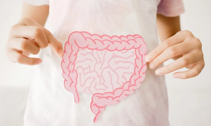 「腸道年齡」是提供觀察腸道菌相變化的參考指標。 圖片來源 / Shutterstock