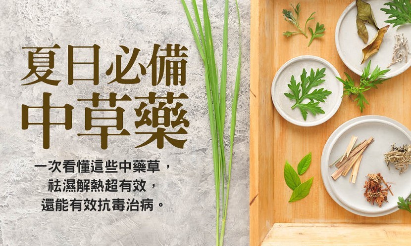夏季祛濕清熱 居家必備5種中草藥