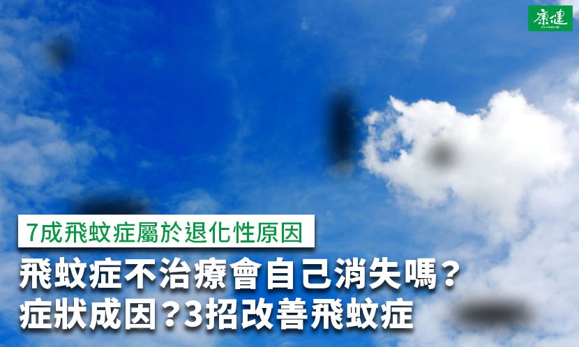 飛蚊症-飛蚊症治療-飛蚊症雷射-飛蚊症消失-飛蚊症改善-飛蚊症症狀-飛蚊症原因-飛蚊症葉黃素-飛蚊症成因-飛蚊症手術