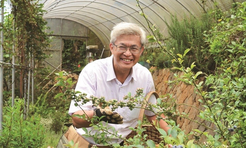 捨高薪投身香草園23年 偏頭痛不藥而癒
