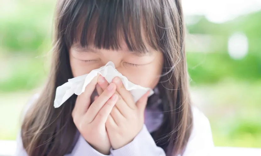 過敏益生菌怎麼選？6大菌株比較，2026過敏益生菌評比推薦