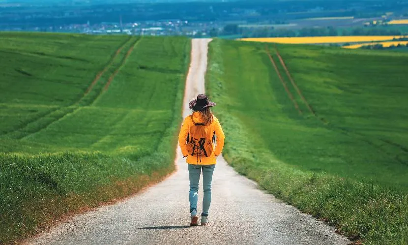 【劉秀枝專欄】醫療如旅行 適合自己的最好