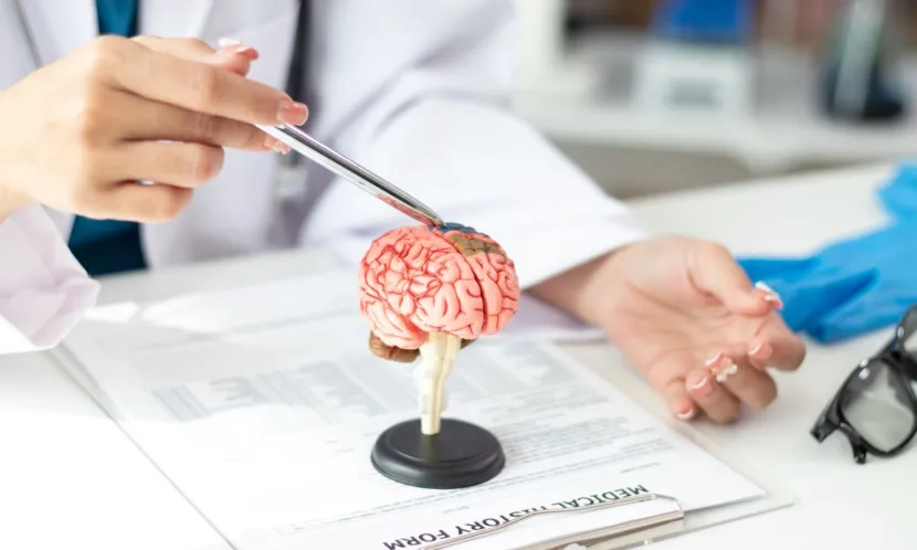 腦齡年輕3歲！大腦逆齡祕訣曝光　研究：關鍵是有「保護因子」