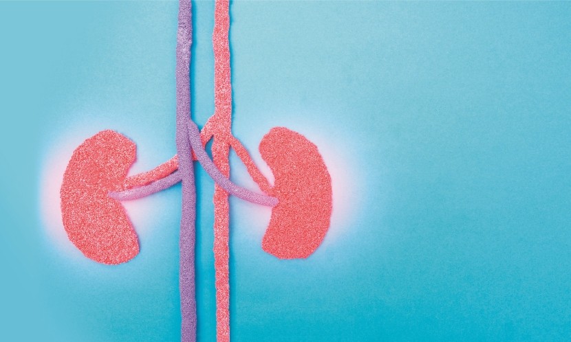 慢性腎病:調整臟腑,延緩進入洗腎時間