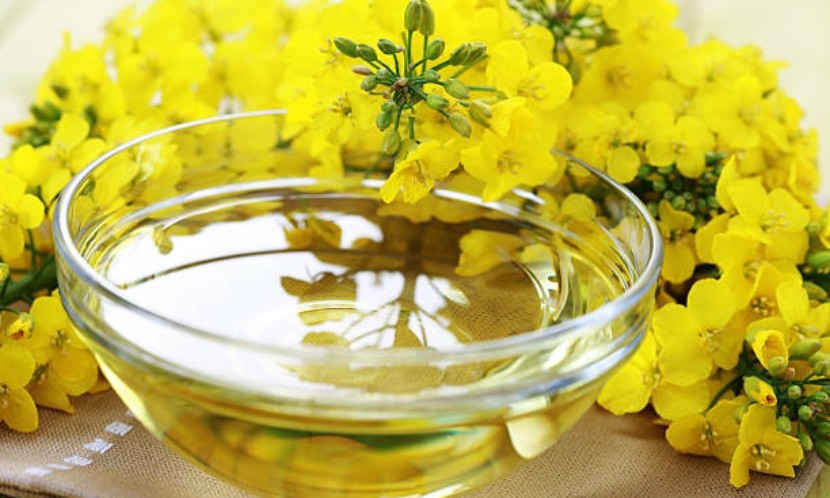 芥花油有毒？營養師：「假的，我炒菜都用芥花油！」