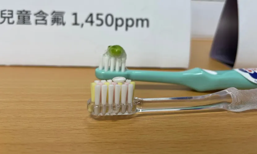 3歲以下牙膏建議用量約「生米粒」大（前），3歲以上約「生豌豆」大（後）。 圖片來源 / 鄧桂芬攝