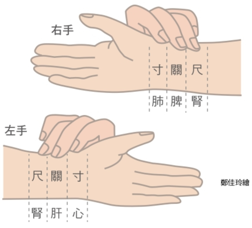把脈