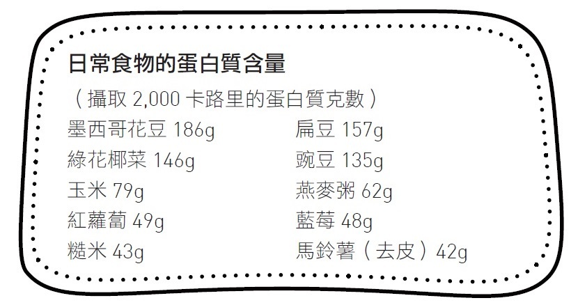 高蛋白質蔬果