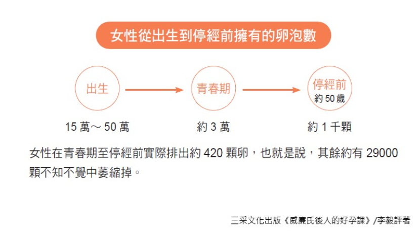 凍卵 卵子 染色體 卵巢 排卵針 停經 更年期 生育
