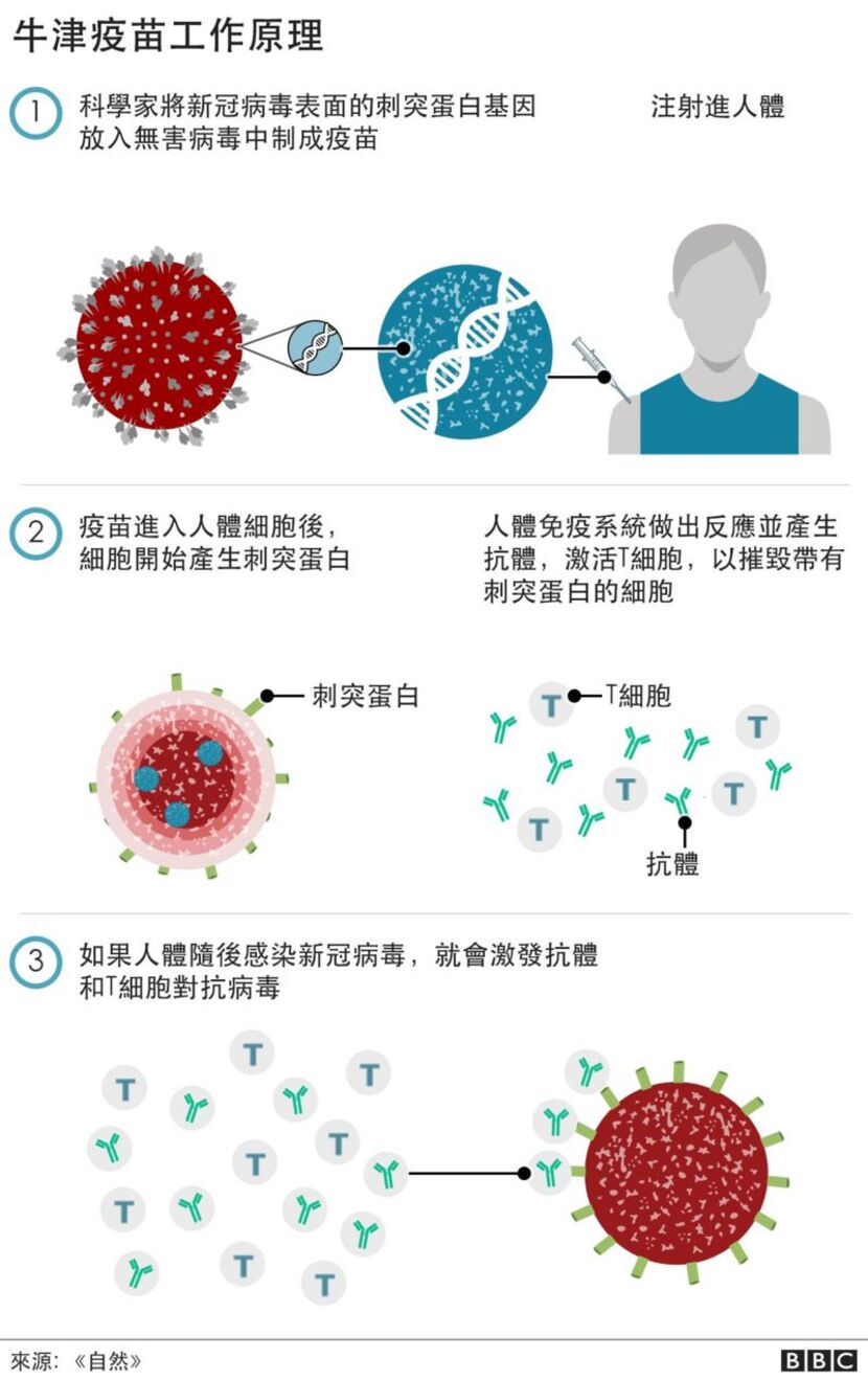 牛津疫苗-AZ疫苗-安全-副作用-原理