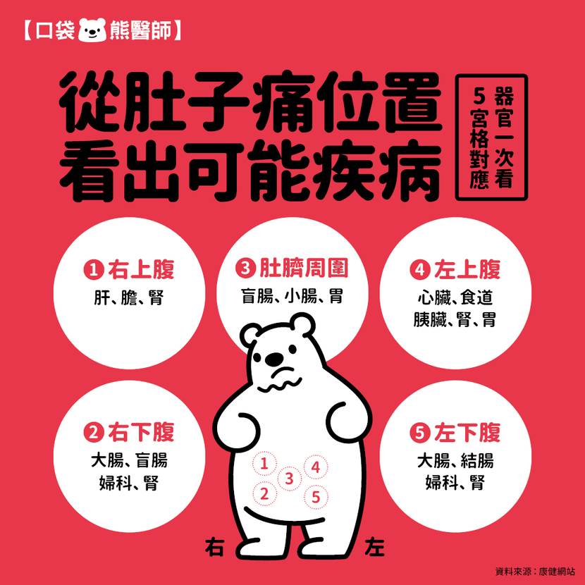 肚子痛-肚子痛位置-肚子痛位置器官-肚子痛位置疾病-左上腹痛-左下腹痛-右上腹痛-右下腹痛