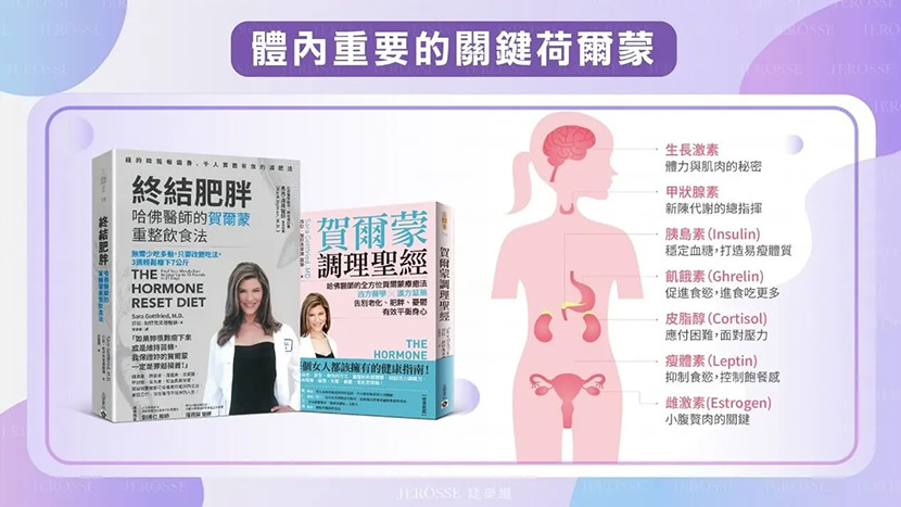 體內重要的關鍵荷爾蒙