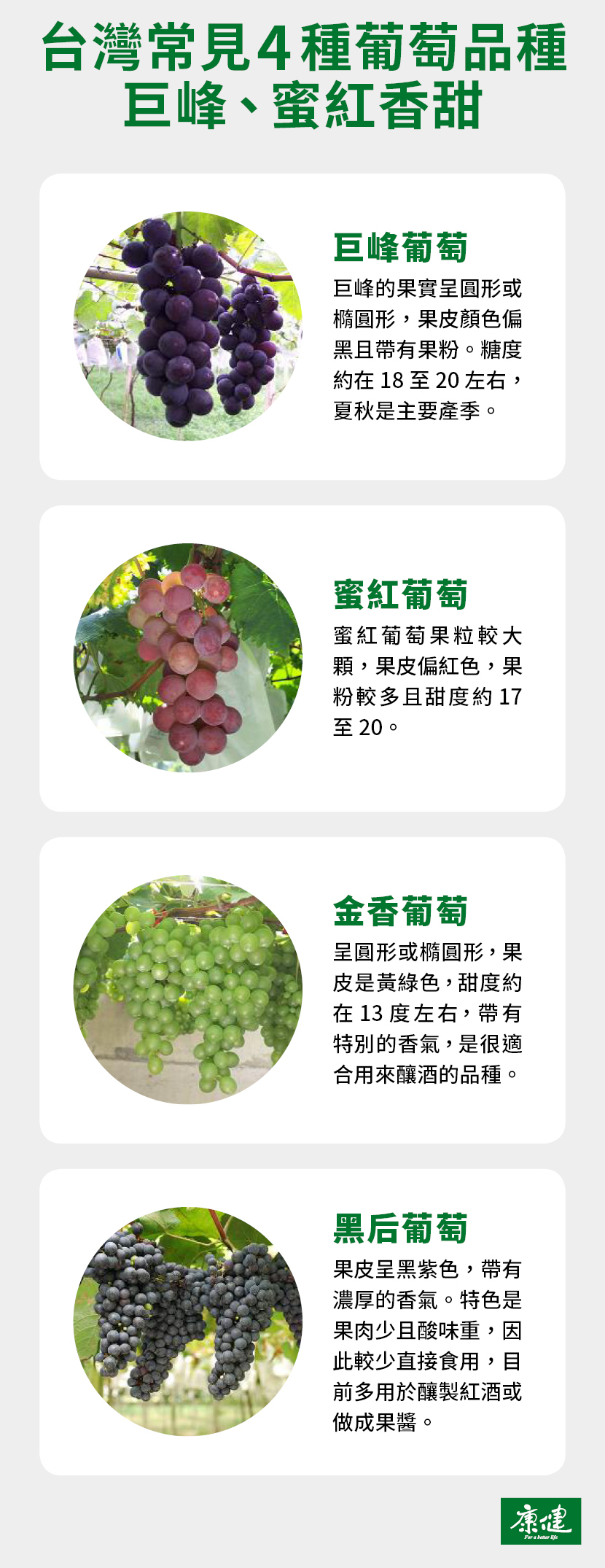 葡萄-葡萄品種-巨峰葡萄-蜜紅葡萄-金香葡萄-黑后葡萄