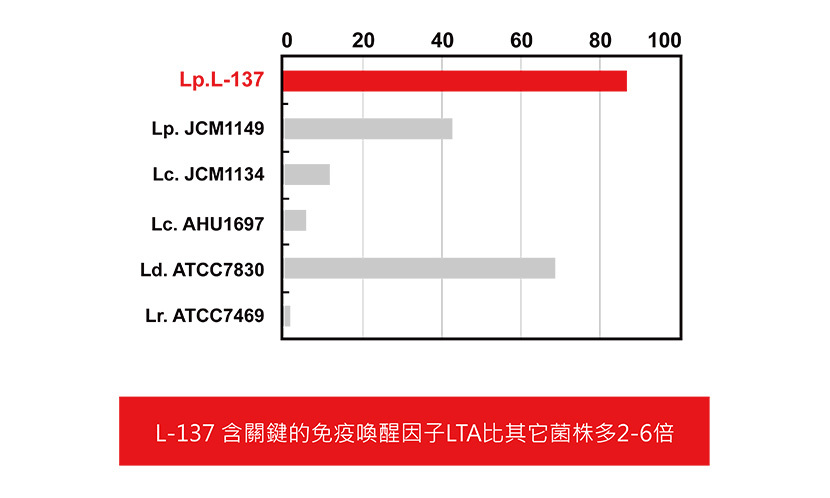 植物乳酸菌 後生元L-137®菌株本身就帶有免疫喚醒因子 LTA,含量是其他乳酸菌的 2~6倍