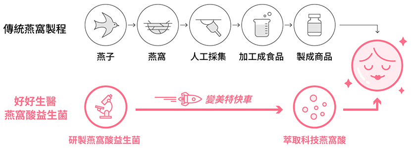 燕窩酸益生菌製作比較