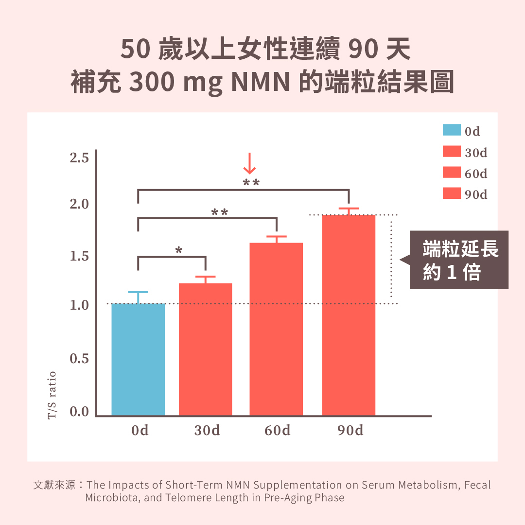 圖四、 50 歲以上女性,連續 90 天補充 300 mg NMN 可以延長外周血單核細胞( PBMC )約 1 倍的端粒長度。