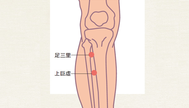上巨虛