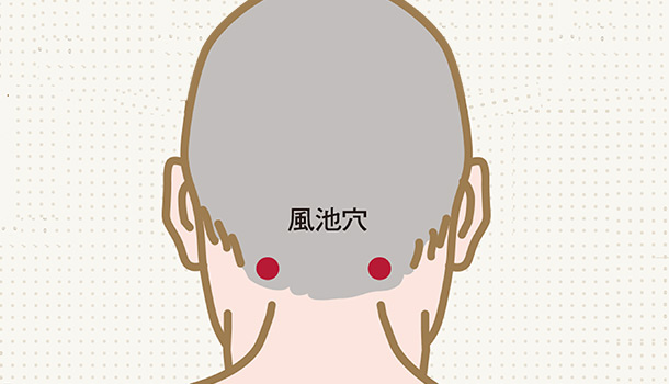 風池穴能促進氣血流通,減輕頭痛並改善睡眠。圖片來源 / 康健編輯部