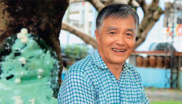 唱歌跳舞打點滴，醫治500多棵老樹