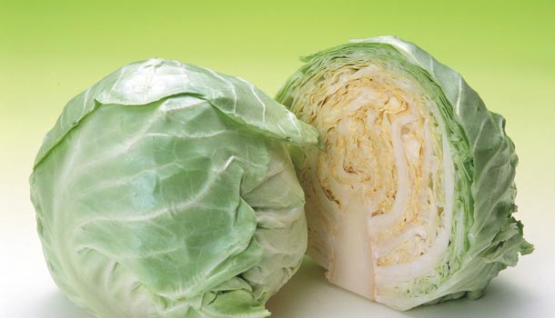 簡單又耐放！高麗菜保存術