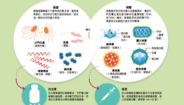 【圖解】人體有五類寄生體，一過量就生病