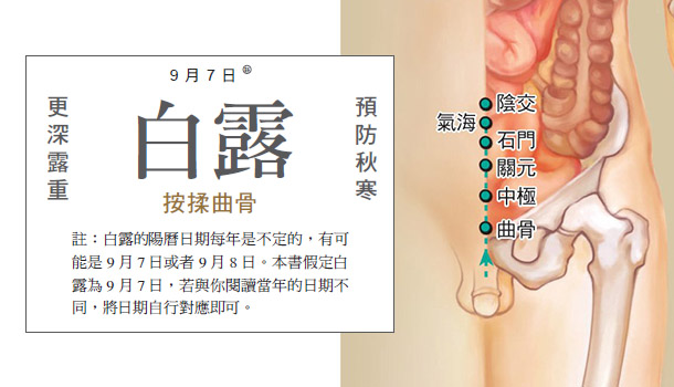 節氣養生／白露宜養陰－按壓曲骨 治前列腺炎 通小便