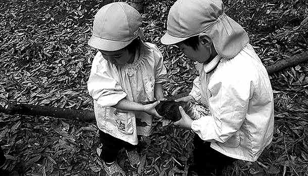 走進森林裡，找到歸屬感