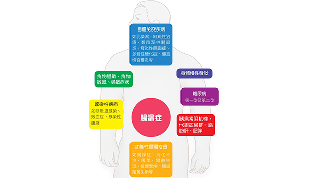 小心！你的健康從腸子「漏」掉了
