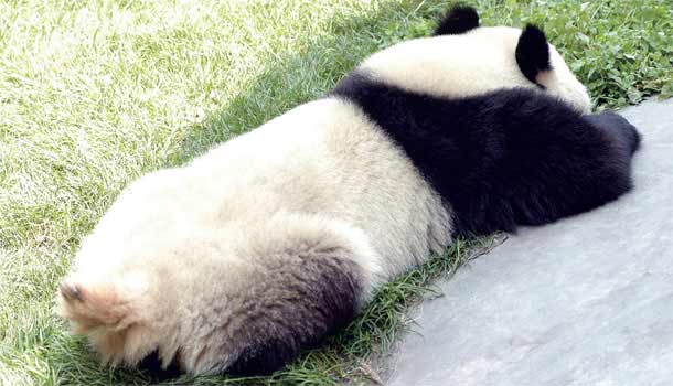 請問你打鼾嗎?